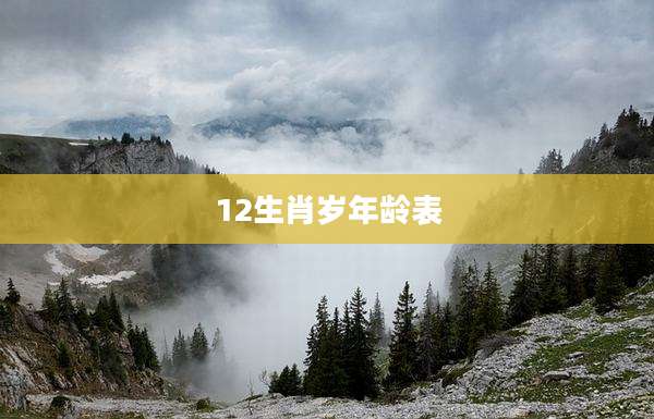 12生肖岁年龄表