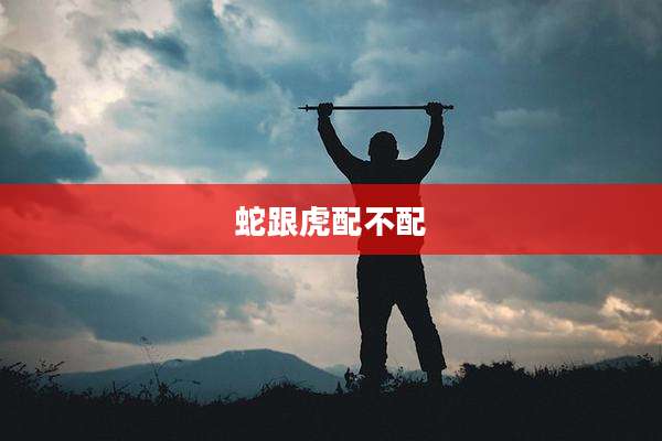 蛇跟虎配不配