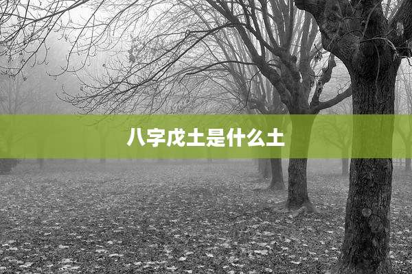 八字戊土是什么土