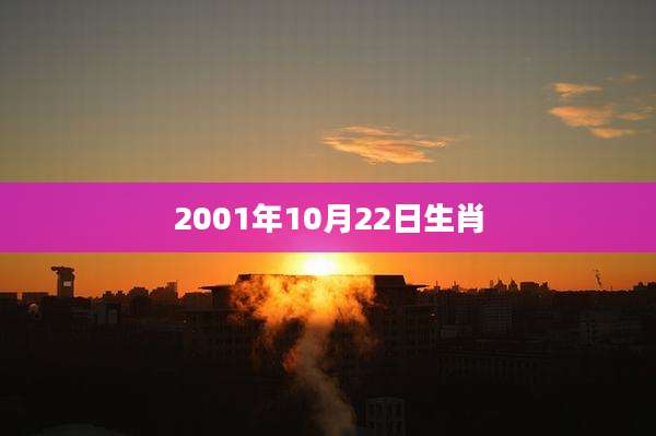 2001年10月22日生肖