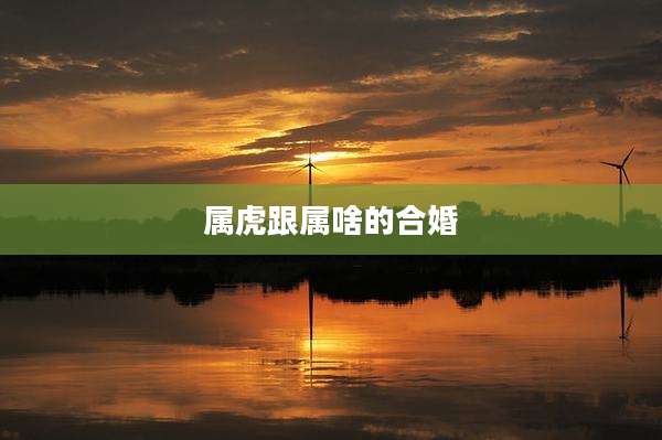 属虎跟属啥的合婚