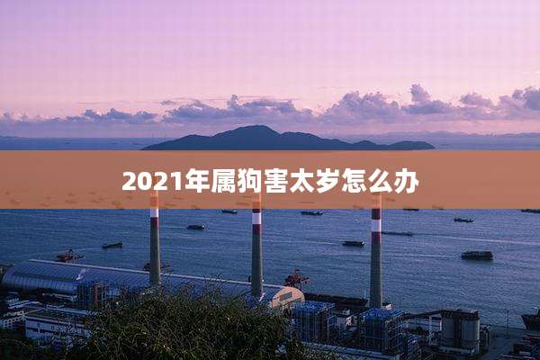 2021年属狗害太岁怎么办