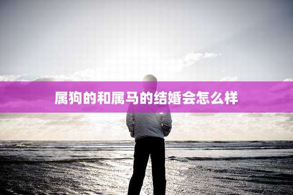 属狗的和属马的结婚会怎么样