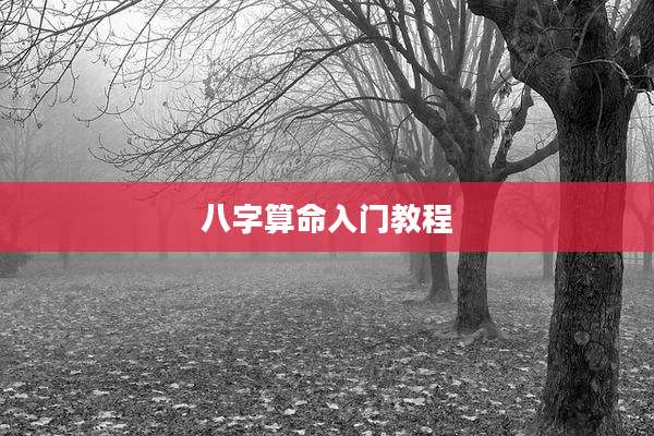 八字算命入门教程