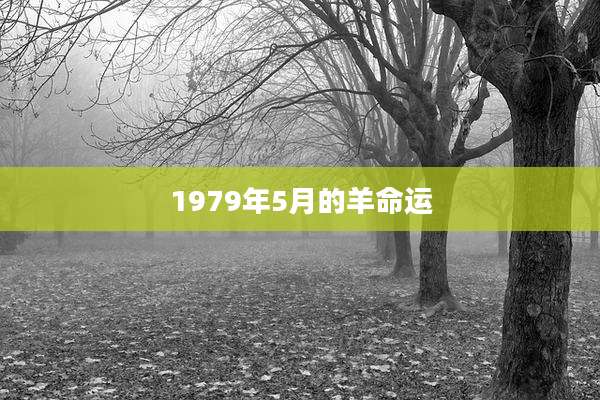 1979年5月的羊命运