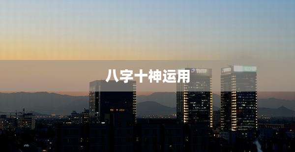 八字十神运用