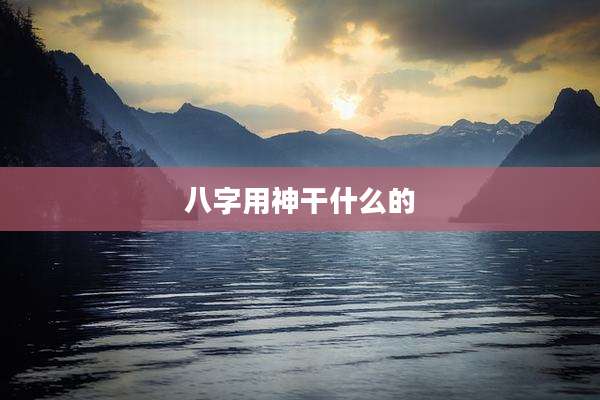 八字用神干什么的