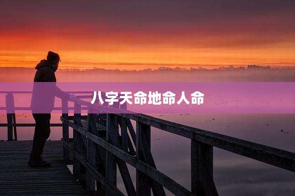 八字天命地命人命