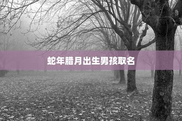 蛇年腊月出生男孩取名