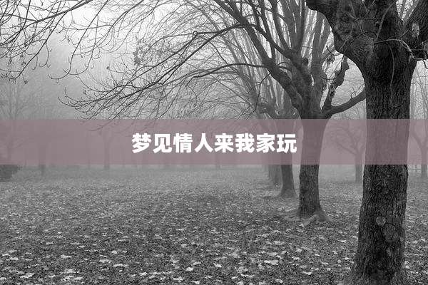 梦见情人来我家玩