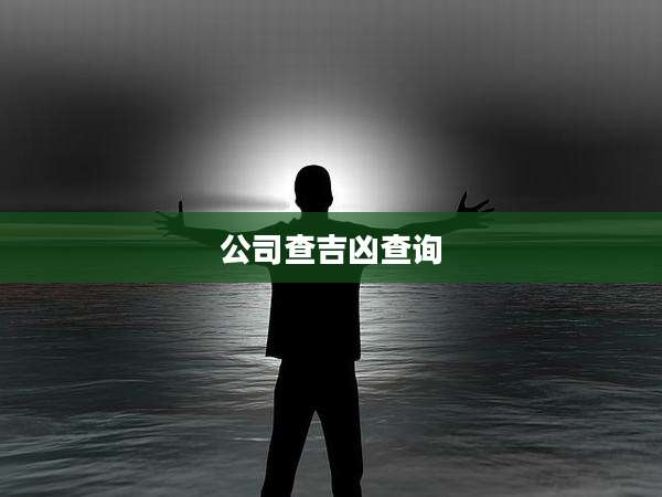 公司查吉凶查询