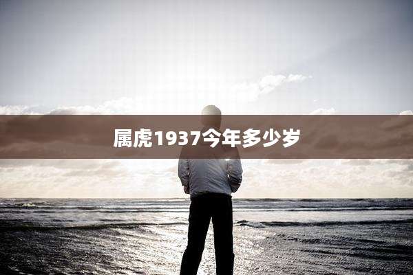 属虎1937今年多少岁
