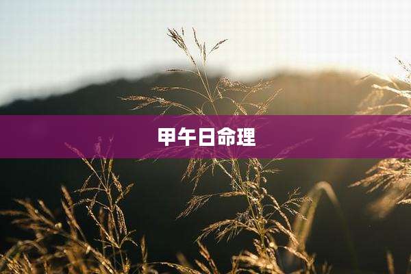 甲午日命理