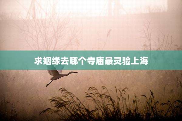 求姻缘去哪个寺庙最灵验上海