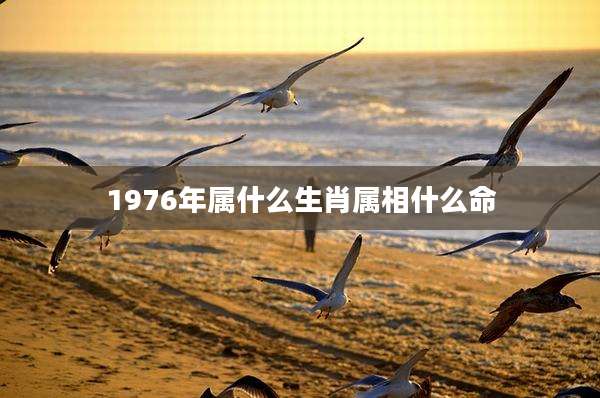 1976年属什么生肖属相什么命