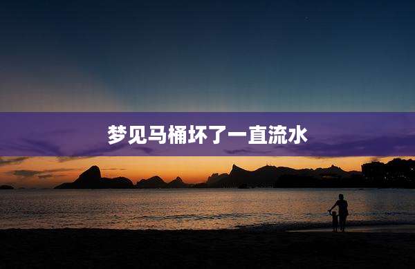 梦见马桶坏了一直流水