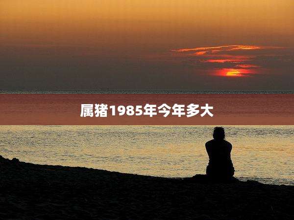 属猪1985年今年多大