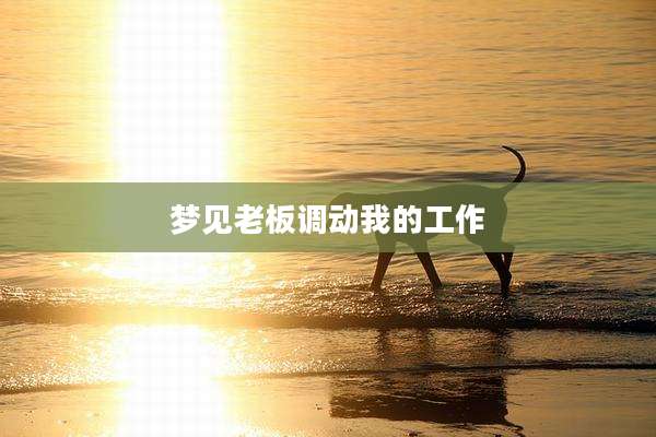 梦见老板调动我的工作