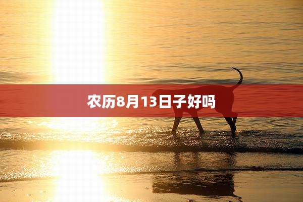 农历8月13日子好吗