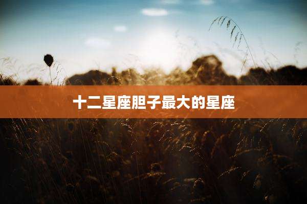 十二星座胆子最大的星座