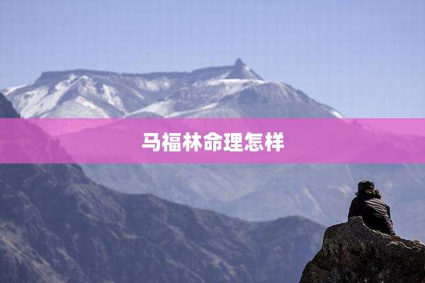 马福林命理怎样