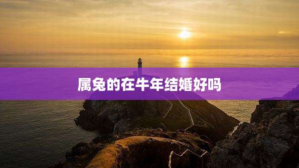 属兔的在牛年结婚好吗