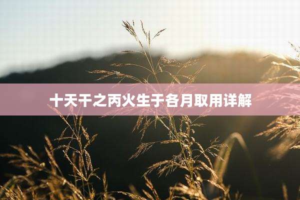 十天干之丙火生于各月取用详解