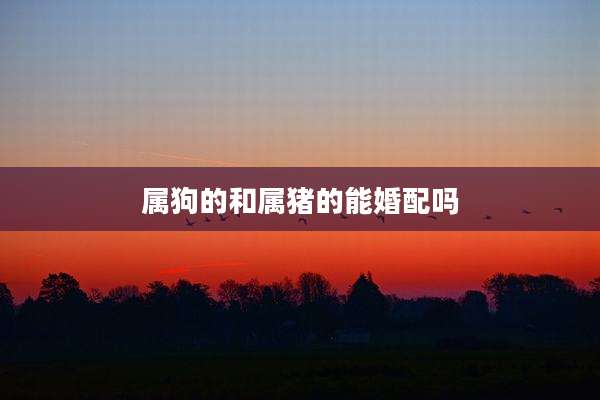 属狗的和属猪的能婚配吗