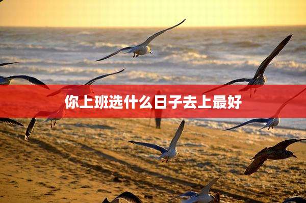 你上班选什么日子去上最好
