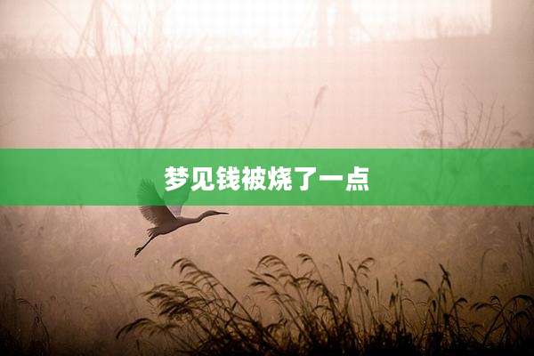 梦见钱被烧了一点
