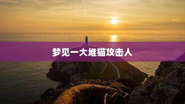 梦见一大堆猫攻击人