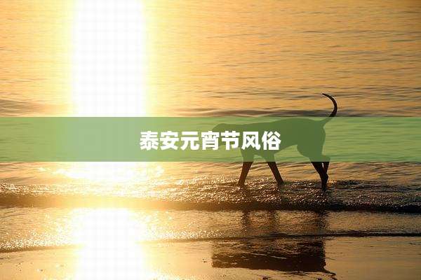 泰安元宵节风俗