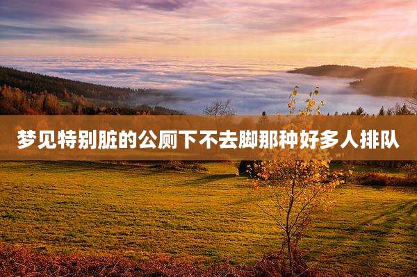 梦见特别脏的公厕下不去脚那种好多人排队
