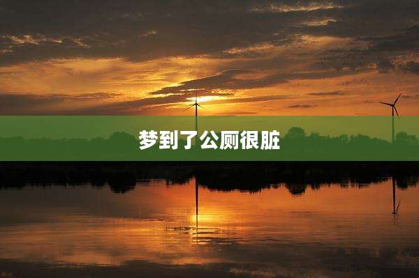 梦到了公厕很脏