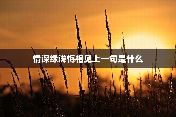 情深缘浅悔相见上一句是什么