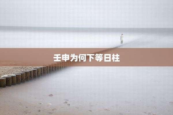 壬申为何下等日柱