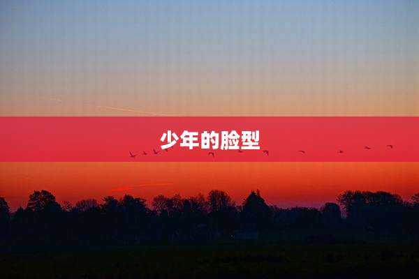 少年的脸型
