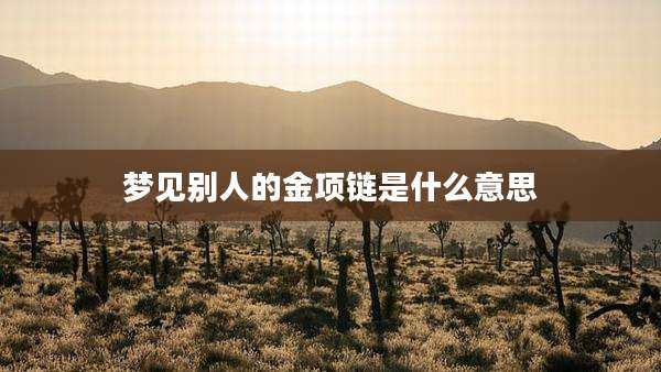 梦见别人的金项链是什么意思