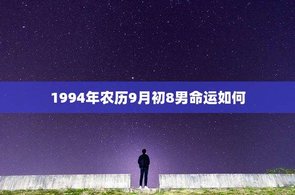 1994年农历9月初8男命运如何