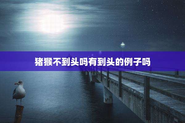 猪猴不到头吗有到头的例子吗