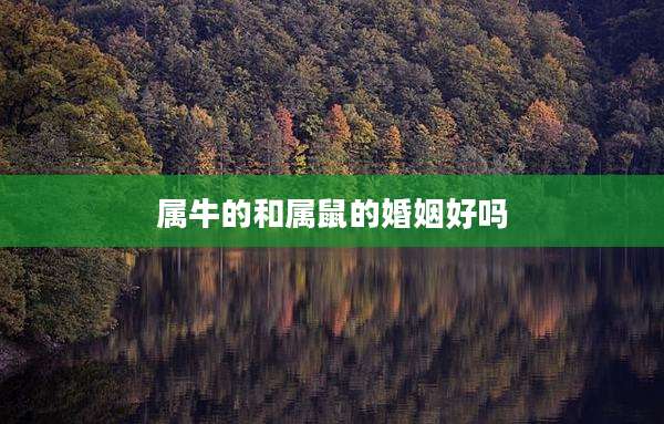 属牛的和属鼠的婚姻好吗