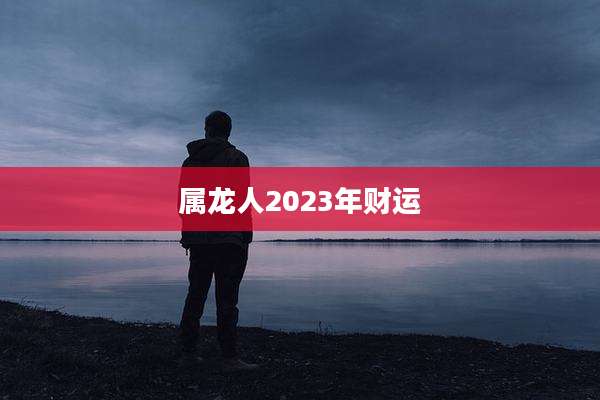 属龙人2023年财运