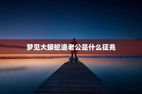 梦见大蟒蛇追老公是什么征兆