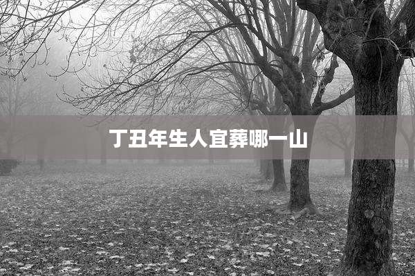 丁丑年生人宜葬哪一山