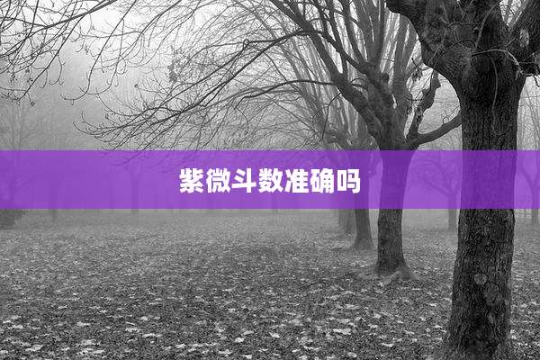 紫微斗数准确吗