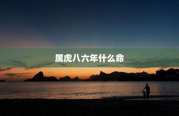 属虎八六年什么命