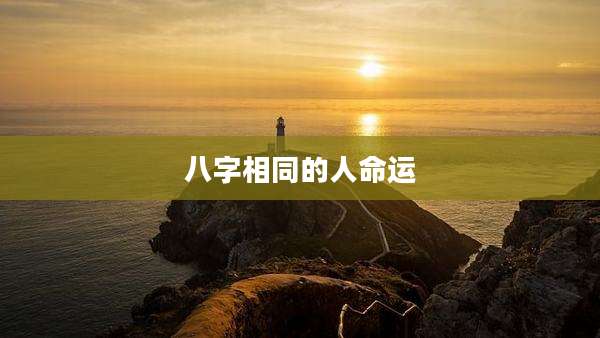 八字相同的人命运