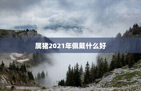 属猪2021年佩戴什么好