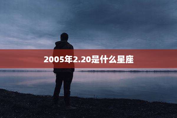 2005年2.20是什么星座