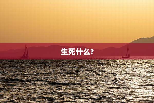 生死什么?